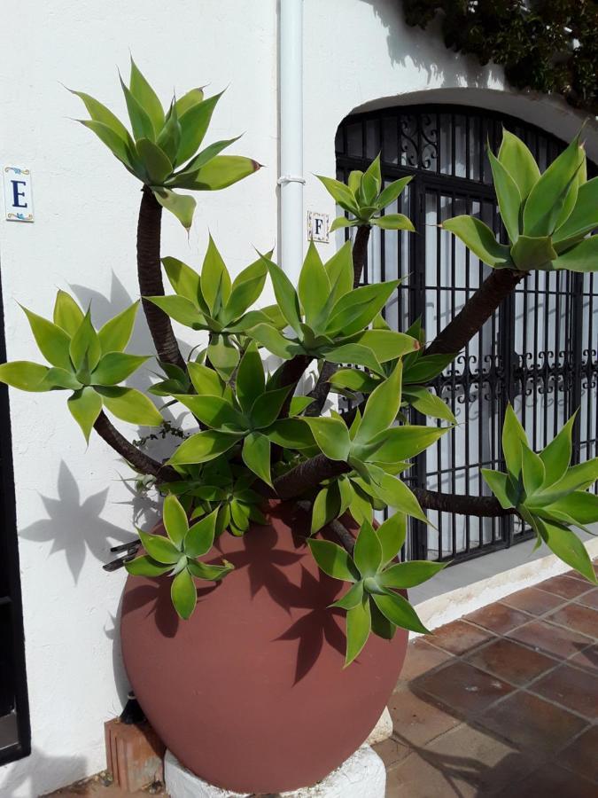 Dona Lola , Luminoso Apartamento Calahonda, Mijas Sitio de Calahonda Exterior photo